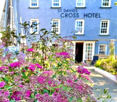 St Davids Hotel | Discover St. Davids Cross Hotel: Pet-Friendly & Eco-Stay