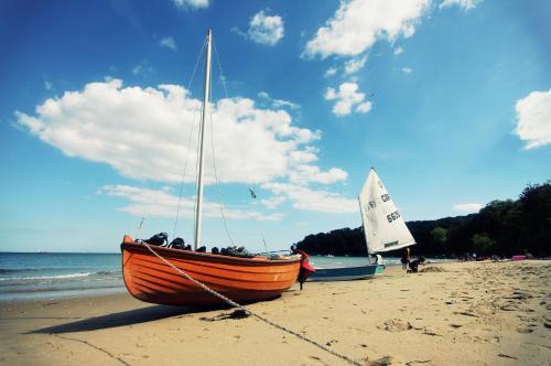 Ryde Resort | Discover St Helens Coastal Resort: Pet-Friendly Getaway