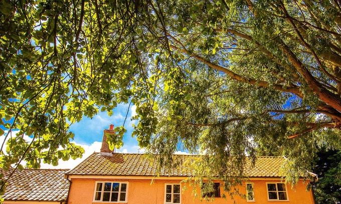 Bungay Cottage | ST MICHAEL'S COTTAGE, pet friendly in St Michael South Elmham