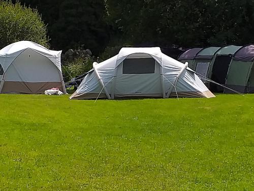 Glynn Other | Pet-Friendly St Mullins Camping for Families and Friends