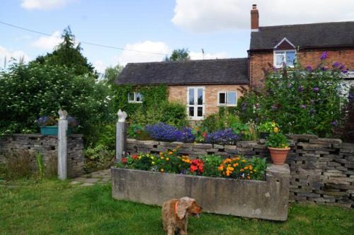 Stanley Common Apartment | Pet-Friendly Stag Cottage - 4-Star Stay with Breakfast