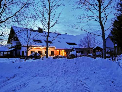 Lichtenstein Hotel | Pet-Friendly Stahlecker Hof with Family Amenities & Dining