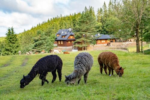 Velke Karlovice House | Guest Rated 9/10: Family-Friendly Statek U Rajmunda