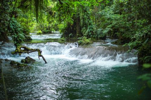 Rentapow House | Relax at Eden on the River: Family-Friendly with Pool