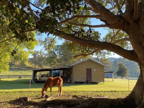 Kenilworth House | Experience Nature at The Barn: A 4-Star Guest Favorite