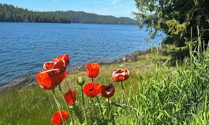 Ketchikan Gateway Borough House | Beachside Bliss at Totems Marinas - Rated 10/10