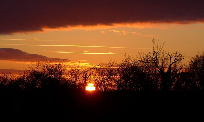 Somerton Cabin | Experience a Unique Gypsy Caravan Getaway near Glastonbury