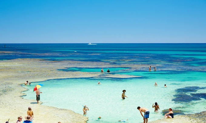 Perth Resort | Family-Friendly Stay Rottnest: Top Reviews & Dining Options