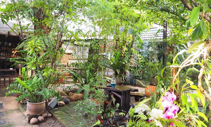 Thapae House | Budget-Friendly Stay With Me Guesthouse with Breakfast