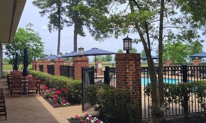 Olive Branch House | Experience Southern Hospitality with Free Homecooked Breakfast