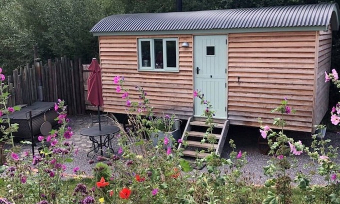 Sampford Brett Cabin | Experience Steam & Stars Glamping in Willow Shepherd Hut