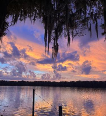 Satsuma Other | Family-Friendly Stegbone's Fish Camp and Resort Awaits You