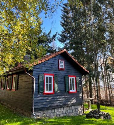 Drei Annen Hohne House | Cozy Steinbachhütte: Pet Friendly with Great Reviews