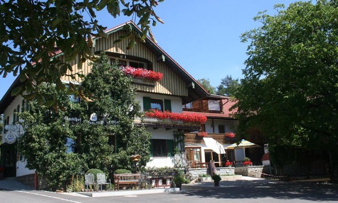 Tiefenbach Hotel | Pet-Friendly Steiner Wirt: Ideal for Families and Travelers