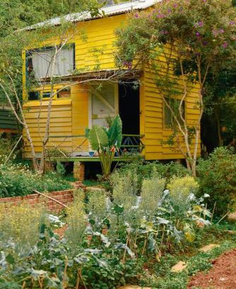 Moc Chau Other | Stella Mộc Châu homestay