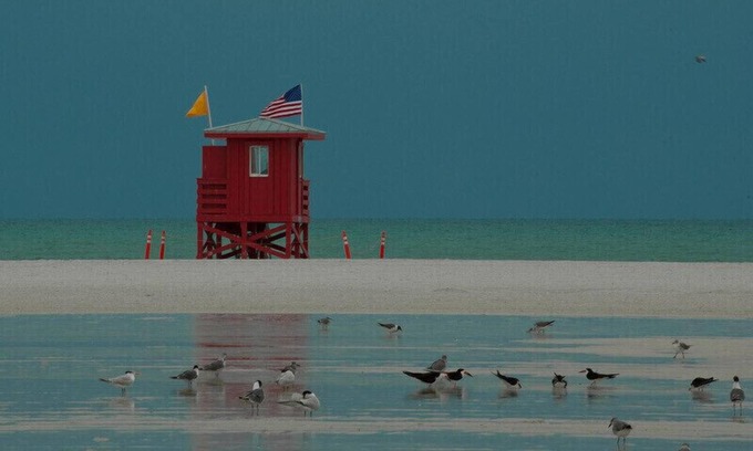 Siesta Key Condo | Experience Fun-n-Sun Condo Just Steps from Siesta Beach