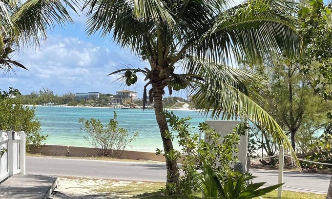 Green Turtle Cay House | Discover Beehive: Oceanfront Retreat Steps to Cocoa Bay