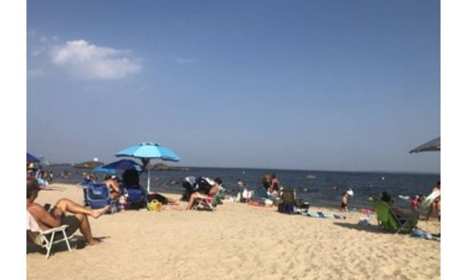 Rye House | Updated Coastal Retreat Steps to Rye Beach - Pet Friendly