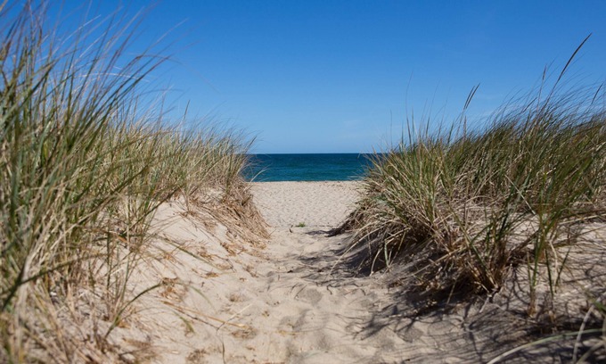 Siasconset House | Prime Location Steps from the Sand in Sconset - Book Now!