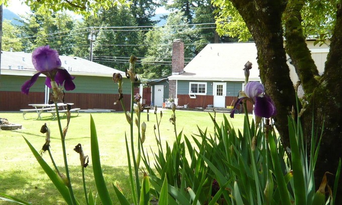 Gold Bar Hotel | Convenient Stevens Pass Motel with Dining & Family Amenities