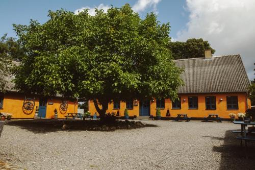 Store Heddinge Bed & Breakfast | Cozy Stevns Klint Bed & Breakfast with Ocean Views