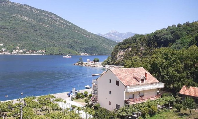 Lepetane Apartment | Pet-Friendly Stevovic Apartments with Oceanfront Views