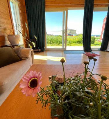 Bleik Apartment | Unwind at Stillehuset - Rated 10/10, Family & Pet Friendly