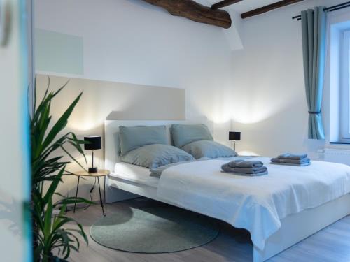 Aachen Apartment | Modern Apartment in Aachen Brand with Inviting Terrace