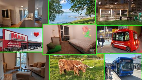 Jakobsberg House | Modern Stockholm Private Rooms with Ocean View & BBQ