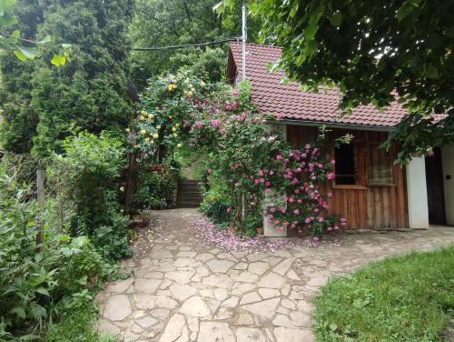 Brumov-Bylnice Apartment | Pet-Friendly Stodola Svatý Štěpán - Guest Rated 9.8/10