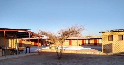 Otavi Hotel | Pet-Friendly Comfort at Stop 'n Stay Otavi Rest Camp