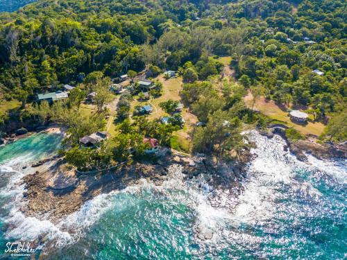 Robins Bay Hotel | Experience Strawberry Fields Together: Pet-Friendly Paradise