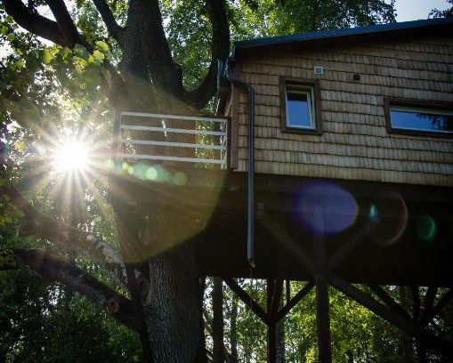 Ogre Municipality House | Unique Strazdu Ligzda Treehouse: Pet & Child Friendly Getaway