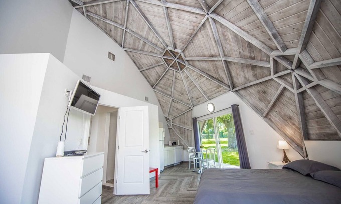 Clermont Apartment | Cozy Studio 01 - Lake Sumner: Pet Friendly & Child Safe