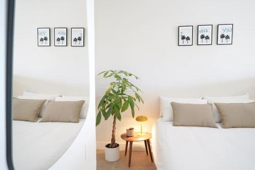 Chayofa Apartment | Pet-Friendly Studio 10 in Tenerife – Guest Rated 9/10