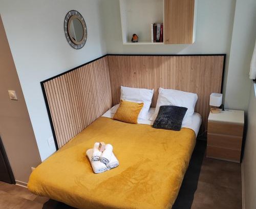 Vandoeuvre-les-Nancy Apartment | Studio 74 Rénové et Équipé - Nancy CHRU,CESI,FAC