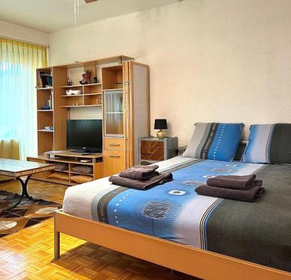 Monthey Apartment | Child-Friendly Studio Anémones in Monthey - Guest Rated 8.9