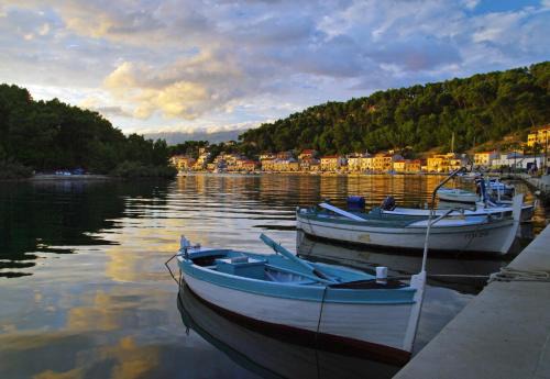 Novigrad Apartment | Top-Rated Studio Apartman Ivan: Pet-Friendly Getaway