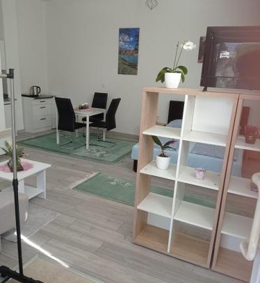 Mali Radic Apartment | Cozy Studio Apartman Sokak: Pet and Child Friendly Stay