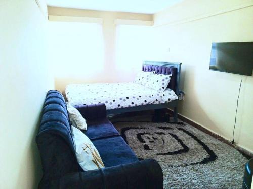 Nakuru Apartment | Cozy Studio Apartment at Whitehouse for Your Getaway