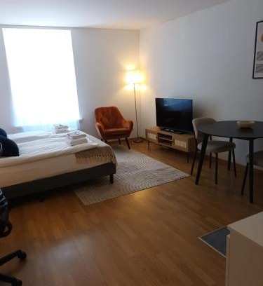 Old Town Apartment | Cozy Apartments in Zürich, Switzerland for Your Getaway