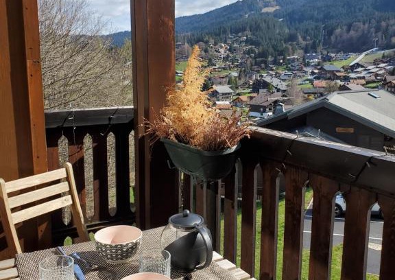 Les Carroz-d'Araches Apartment | Inviting Studio with Balcony and Fireplace - Grand Massif
