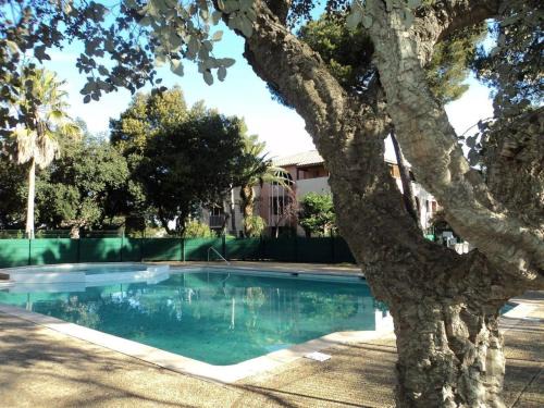 Saint-Aygulf Apartment | Cozy Studio Cabin with Pool and Tennis Near the Beach