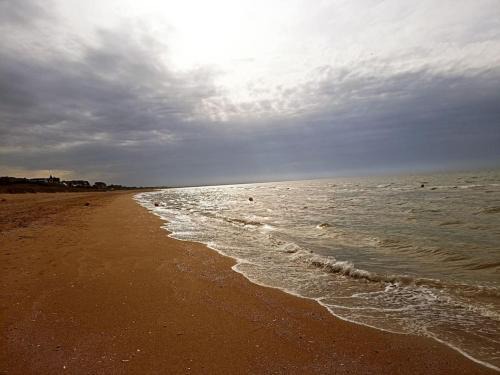 Le Home Apartment | Cozy Studio Cabourg - Garden Oasis near the Oceanfront