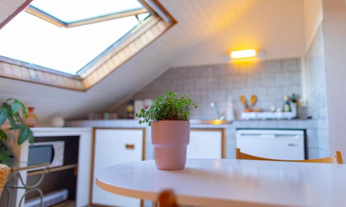 Belfort Apartment | Cozy Studio Retreat with Pet-Friendly Amenities
