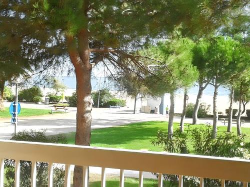Plage d'Argeles Apartment | Seaside Studio with Terrace in Argeles sur Mer