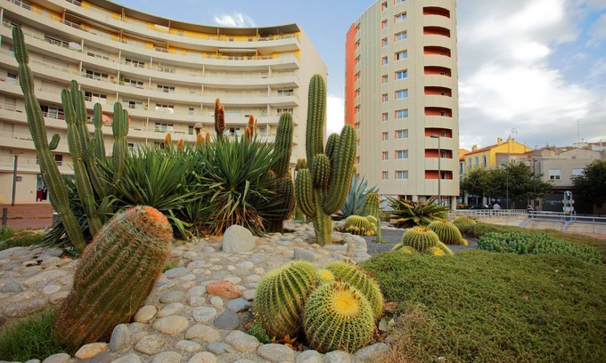 Clemenceau Apartment | Cozy Studio with Kitchenette & Free Wi-Fi for Your Stay