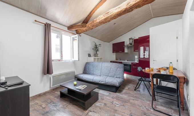 Castres Apartment | Cozy Studio Convivial: Family-Friendly with Kitchen Access