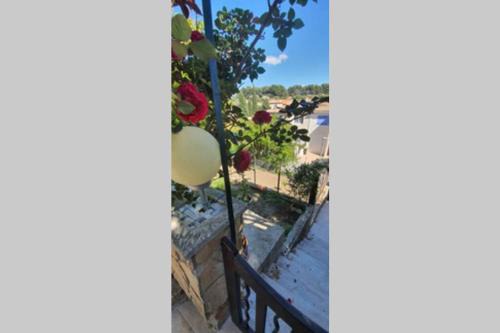 13th Arrondissement Apartment | Idyllic Studio with Ocean View near Marseille's Hills