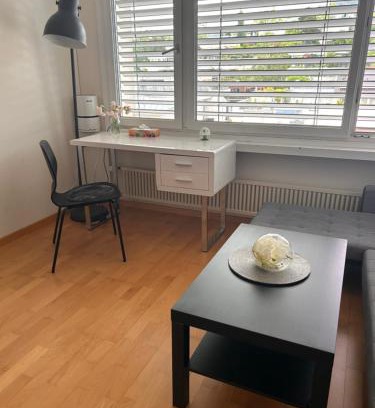 Zug Apartment | Cozy Studio Flat in Zug for Solo Travellers - 8/10 Rated